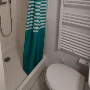 a bathroom with a toilet and a shower curtain at l'Ancolie 31 in Le Dévoluy +12 photos