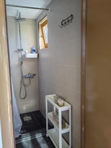 a bathroom with a shower and a black tile floor at Од А до Ш in TrÅ¡iÄ‡