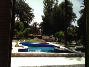 uma piscina num quintal com árvores em نزل ريفي ( شاليه زراعي ) 