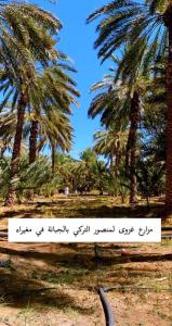 um sinal na frente de algumas palmeiras em نزل ريفي ( شاليه زراعي ) 