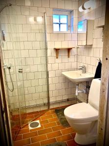 ein Bad mit einem WC, einem Waschbecken und einer Dusche in der Unterkunft Scenic small guesthouse on horse farm by the lake in Frösö