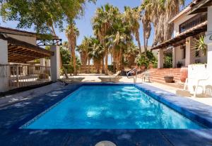 - une piscine dans l'arrière-cour d'une maison avec des palmiers dans l'établissement Casa Habana as seen in the movie Inferno, à San Felipe