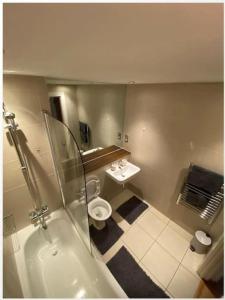 a bathroom with a shower and a toilet and a sink at lovely one bedroom apartment in Ilford town in Ilford