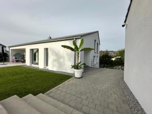 una casa bianca con una pianta in vaso nel cortile di Modernes Apartment mit eigener Terrasse & Garten ad Aalen
