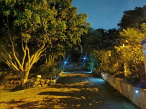 Cabaña Vista Verde في كرتاغو: شارع بالليل فيه اشجار وانوار