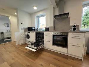 a kitchen with a stove and a dishwasher at Modernes Apartment mit eigener Terrasse & Garten in Aalen