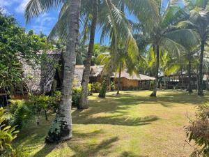 a yard with palm trees in front of a building at KOKONUT HUT RETREAT & CAMPING SITE RENTAL in Romblon