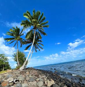 dos palmeras en una playa rocosa cerca del agua en Tahiti - Kea Lodge, en Papara