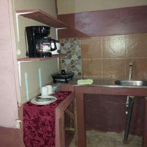 een kleine keuken met een wastafel en een aanrecht bij Departamento Minae in Puerto Jiménez
