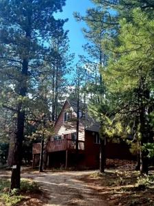 Budova, kde se chata nachází