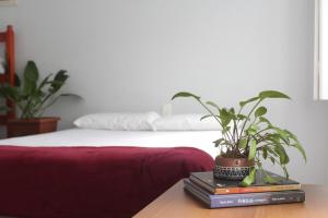 Afbeelding uit fotogalerij van Pelotas Bier Hostel in Pelotas