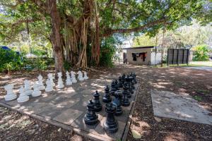 BIG4 Tasman Holiday Parks - Rowes Bay外面的花园