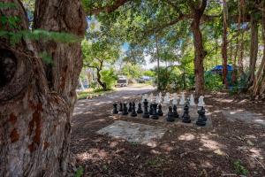 BIG4 Tasman Holiday Parks - Rowes Bay外面的花园