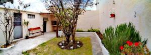 un jardín con un árbol y un banco frente a un edificio en La Casa de los Viejos, en Minas