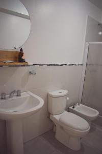 bagno con servizi igienici, lavandino e specchio di Ukiyo Apart a San Salvador de Jujuy