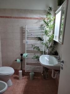 ein Bad mit einem WC und einem Waschbecken in der Unterkunft appartamento PEACE&LAKE in Riva del Garda