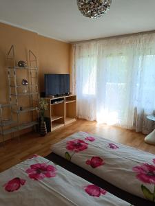 two beds in a room with a tv and a room with roses at Offenburg Apartment in Offenburg