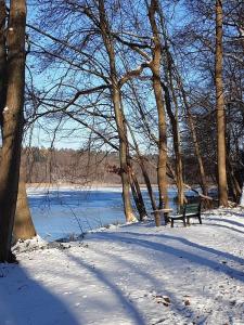 a park bench in the snow next to a lake at Haus Brandenburg in Stechlin