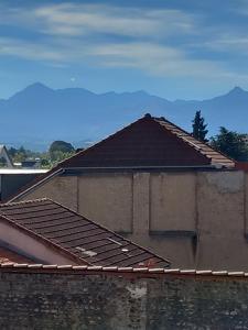 um telhado de um edifício com azulejos castanhos em L'oasis em Tarbes