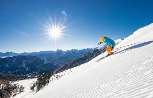 een persoon is aan het skiën op een sneeuw bedekte helling bij Villa Gottfried B&B in Eggen