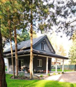Taman di luar Domek W Sosnach Poleski Park Narodowy