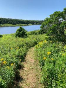 a dirt trail through a field of flowers next to a river at Colindale Beach Villas in Port Hood