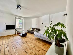 ein Wohnzimmer mit einem Sofa und einer Topfpflanze in der Unterkunft Grand studio classé 4 étoiles avec jardin et garage vélo, moto in Briançon