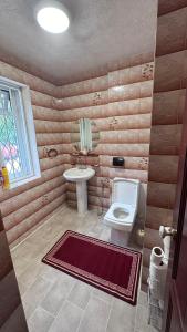 a bathroom with a toilet and a sink at Maylands - -Where memories are made. in Stanford le Hope +56 photos