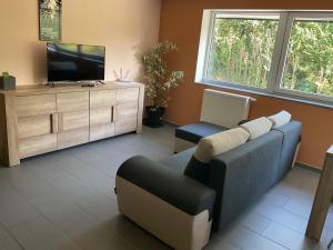 a living room with a couch and a tv at Le Petit Parc in Wavre