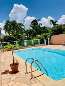 a large swimming pool with a potted plant next to it at Superbe Duplex résidence privée et piscine in Saint-François +6 photos