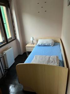 Cama o camas de una habitación en a single room in the center of Sremski karlovci