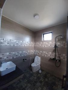 ein Bad mit einem WC und einem Waschbecken in der Unterkunft Villa Deux Bras 