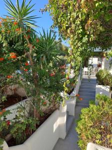 Gallery image of Stratos Apartments & Studios in Parikia +199 photos