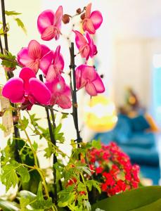 un grupo de flores rosas en un jarrón con flores rojas en Casa Calina, en Mauguio