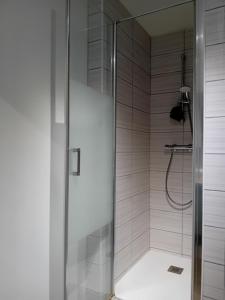 W łazience znajduje się prysznic ze szklanymi drzwiami. w obiekcie Joli appartement bien situé pour les JO w mieście Les Essarts-le-Roi
