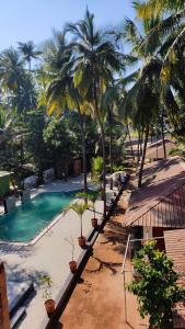 达博利Cocorico Beach Resort的享有棕榈树游泳池的景色