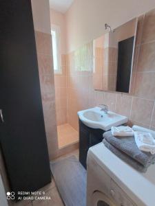 ein Bad mit einem Waschbecken, einem Spiegel und einer Dusche in der Unterkunft Les 26 Tanneurs appartement in Noyon