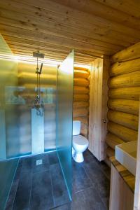 a bathroom with a toilet and a glass shower at Brunarica Macesen Smogavc in Zreče