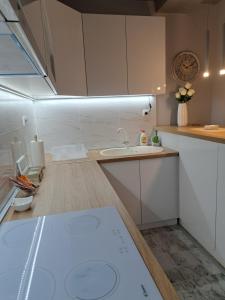 Cucina o angolo cottura di Stan na danS Šid