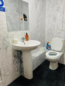 a bathroom with a white sink and a toilet at Heart of Sheffield in Sheffield