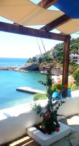 Eine Pflanze steht auf einer Treppe neben einem Strand in der Unterkunft IKARIA THERMA BLUE Hotel in Agios Kirykos