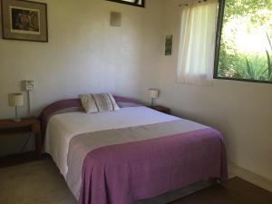 a bedroom with a bed with a purple blanket at Double Bed, Queen size, small kitchen, terrace, wi-fi- air condition in Cuatunalco