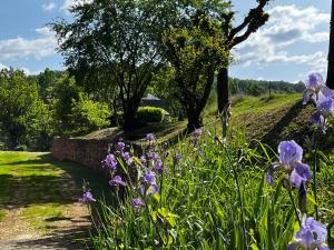 a garden with purple flowers in a field at Maison de famille in Camboulit