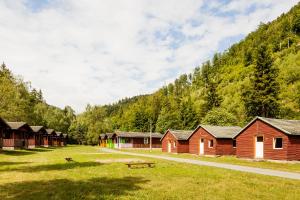 a row of wooden cabins in a field with a mountain at Ferienpark Thüringer Wald in Schalkau