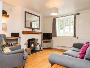 a living room with two couches and a fireplace at 3 Skaigh View Cottages in Okehampton