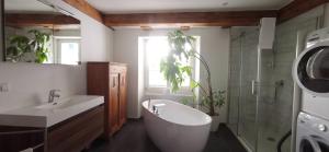 Et badeværelse på Exklusive LOFT-Wohnung, nur 30 Min von Zürich