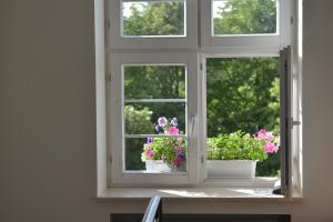Giardino di Five Point Hostel & Apartments