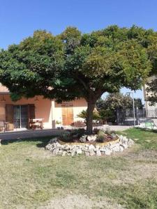 a tree in front of a building with a bench under it at CAMERA PRIVATA IN VILLA CON INGRESSO INDIPENDENTE,ingresso dal bagno in Ponte San Giovanni