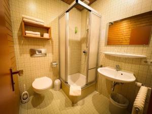 a bathroom with a shower and a toilet and a sink at Black Forest Hotel Todtnau in Todtnau