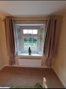 a window in a room with a radiator and a plant at Station House in St Austell